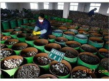 廣州盛輝廢舊物資回收公司產品展示